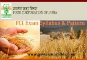 Rajasthan FCI Syllabus 2023