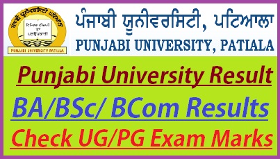 Punjabi University Result 2022
