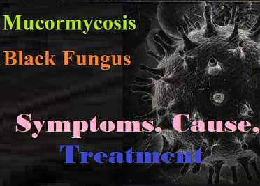 Black Fungus Disease